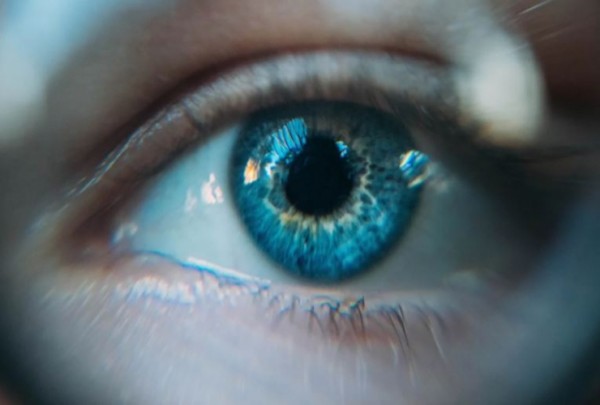 New Vision