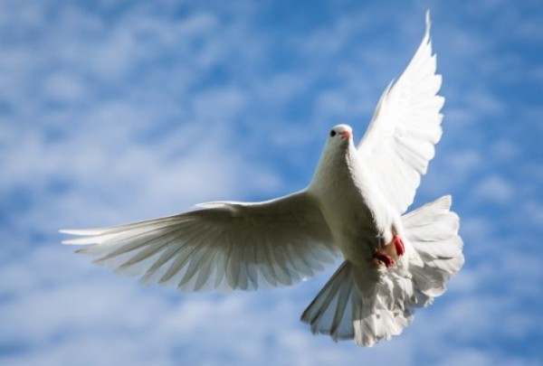 Passover to Pentecost