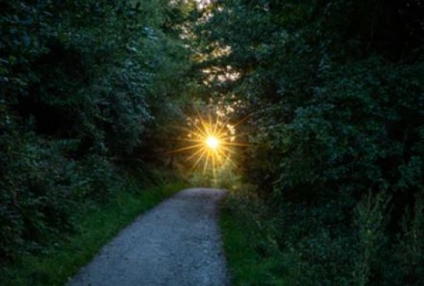 Walk in the Light