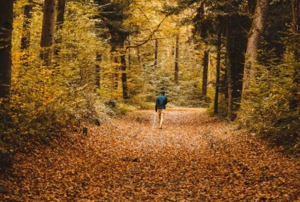 Walk Humbly with God