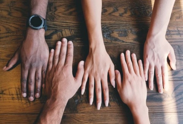 What Divides Us – What Unites Us