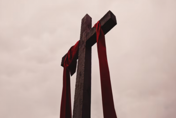 The Cross Brings Life