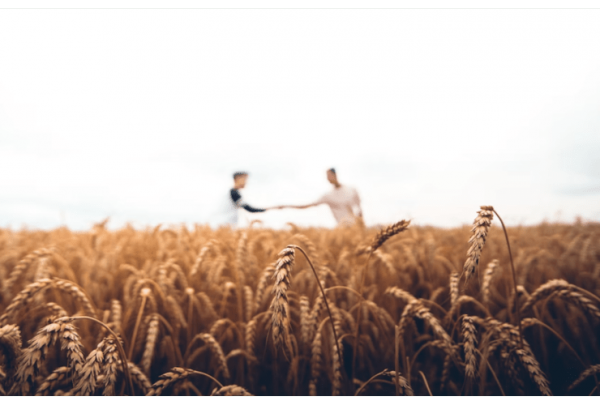 Pentecost – Feast of Harvest