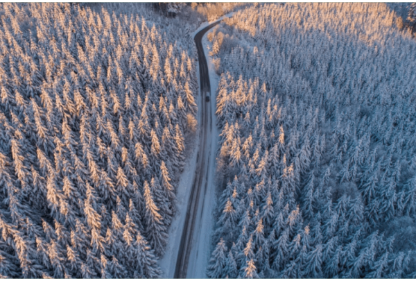 The Road to Christmas